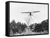 Airplane Dropping Cloud of Mosquito Insecticide-null-Framed Stretched Canvas