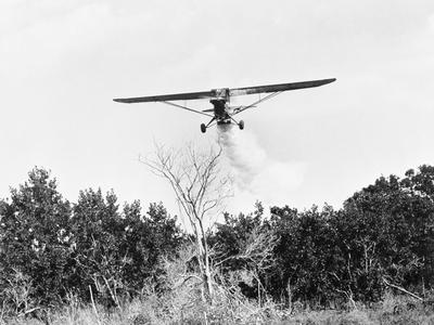 https://imgc.allpostersimages.com/img/posters/airplane-dropping-cloud-of-mosquito-insecticide_u-L-PZP0020.jpg?artPerspective=n