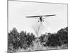 Airplane Dropping Cloud of Mosquito Insecticide-null-Mounted Photographic Print