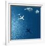 Airplane Flies over a Sea-Photobank gallery-Framed Art Print