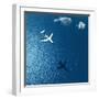 Airplane Flies over a Sea-Photobank gallery-Framed Art Print