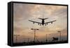 Airplane landing-Charles Bowman-Framed Stretched Canvas