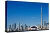 Airplane over City Skylines, Cn Tower, Toronto, Ontario, Canada 2011-null-Stretched Canvas