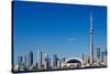 Airplane over City Skylines, Cn Tower, Toronto, Ontario, Canada 2011-null-Stretched Canvas