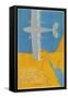 Airplane over Egypt-null-Framed Stretched Canvas