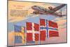 Airplane, Scandinavian Flags-null-Mounted Art Print