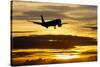 Airplane sunset-Charles Bowman-Stretched Canvas