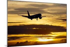 Airplane sunset-Charles Bowman-Mounted Photographic Print