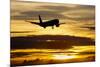 Airplane sunset-Charles Bowman-Mounted Photographic Print