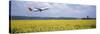 Airplane Taking Off, Zurich Airport, Kloten, Zurich, Switzerland-null-Stretched Canvas