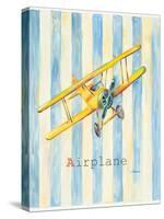 Airplane-Catherine Richards-Stretched Canvas