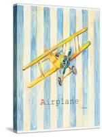 Airplane-Catherine Richards-Stretched Canvas