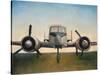 Airplane-Joseph Cates-Stretched Canvas