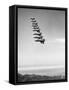 Airplanes Flying in Order-null-Framed Stretched Canvas