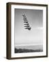 Airplanes Flying in Order-null-Framed Photographic Print