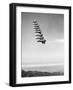 Airplanes Flying in Order-null-Framed Photographic Print