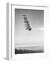 Airplanes Flying in Order-null-Framed Photographic Print