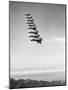 Airplanes Flying in Order-null-Mounted Photographic Print