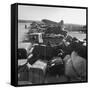 Airplanes Sitting on Airstrip at Airfield and Supplies Sitting in Trucks-Jack Birns-Framed Stretched Canvas