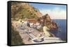 Airport and Orilla Jardin, Catalina, California-null-Framed Stretched Canvas