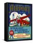 Airport Bourbon Whiskey-null-Framed Stretched Canvas
