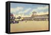 Airport, Tampa, Florida-null-Framed Stretched Canvas