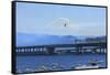 Airshow Blue Angels, Seafair Celebration, Seattle, Washington-Stuart Westmorland-Framed Stretched Canvas