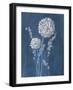 Airy Blooms I Dark Blue-Danhui Nai-Framed Art Print