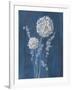 Airy Blooms I Dark Blue-Danhui Nai-Framed Art Print