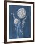 Airy Blooms I Dark Blue-Danhui Nai-Framed Art Print