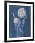 Airy Blooms I Dark Blue-Danhui Nai-Framed Art Print