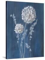 Airy Blooms I Dark Blue-Danhui Nai-Stretched Canvas