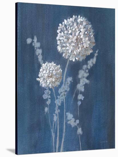 Airy Blooms I Dark Blue-Danhui Nai-Stretched Canvas