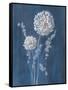 Airy Blooms I Dark Blue-Danhui Nai-Framed Stretched Canvas