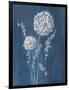 Airy Blooms I Dark Blue-Danhui Nai-Framed Art Print