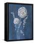 Airy Blooms I Dark Blue-Danhui Nai-Framed Stretched Canvas