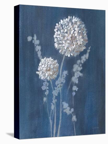 Airy Blooms I Dark Blue-Danhui Nai-Stretched Canvas