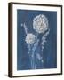 Airy Blooms I Dark Blue-Danhui Nai-Framed Art Print