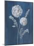 Airy Blooms II Dark Blue-Danhui Nai-Mounted Art Print