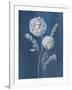 Airy Blooms II Dark Blue-Danhui Nai-Framed Art Print