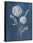 Airy Blooms II Dark Blue-Danhui Nai-Framed Stretched Canvas