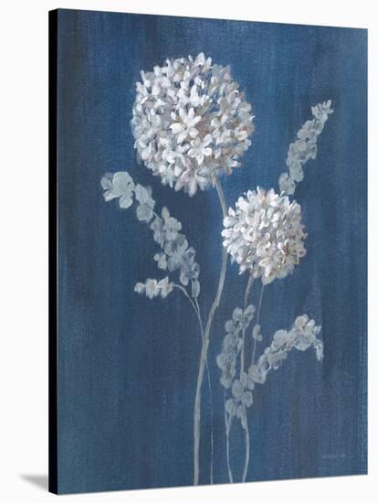 Airy Blooms II Dark Blue-Danhui Nai-Stretched Canvas