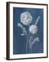 Airy Blooms II Dark Blue-Danhui Nai-Framed Art Print