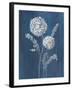 Airy Blooms II Dark Blue-Danhui Nai-Framed Art Print