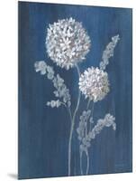 Airy Blooms II Dark Blue-Danhui Nai-Mounted Art Print