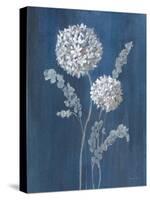 Airy Blooms II Dark Blue-Danhui Nai-Stretched Canvas