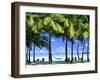 Aitutaki, Cook Islands, New Zealand-Peter Adams-Framed Premium Photographic Print