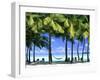 Aitutaki, Cook Islands, New Zealand-Peter Adams-Framed Premium Photographic Print