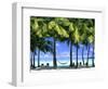 Aitutaki, Cook Islands, New Zealand-Peter Adams-Framed Photographic Print