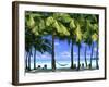 Aitutaki, Cook Islands, New Zealand-Peter Adams-Framed Photographic Print